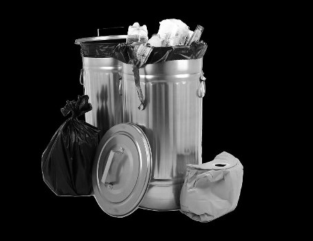 Professional team managing waste removal services